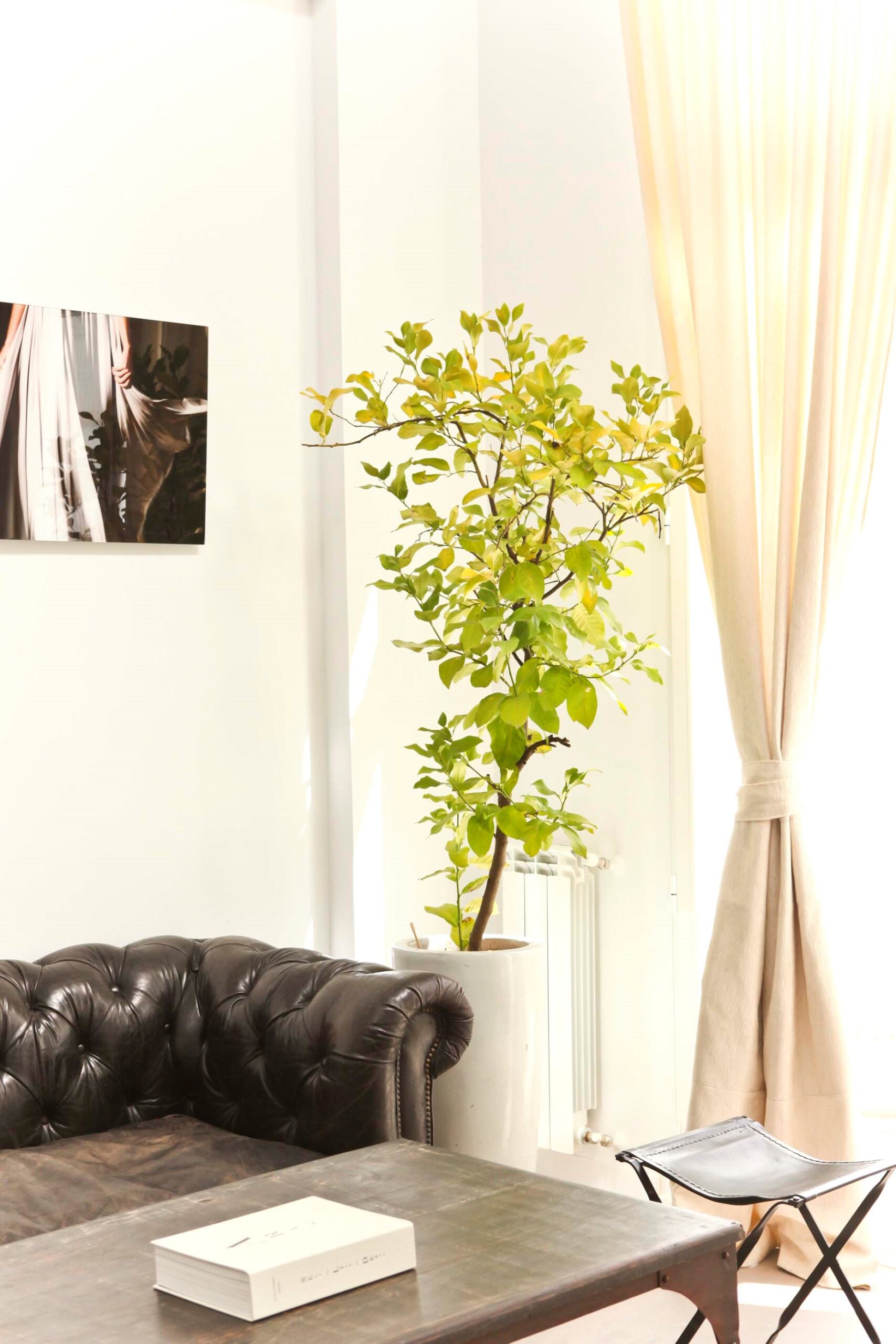 Detalle Salon I